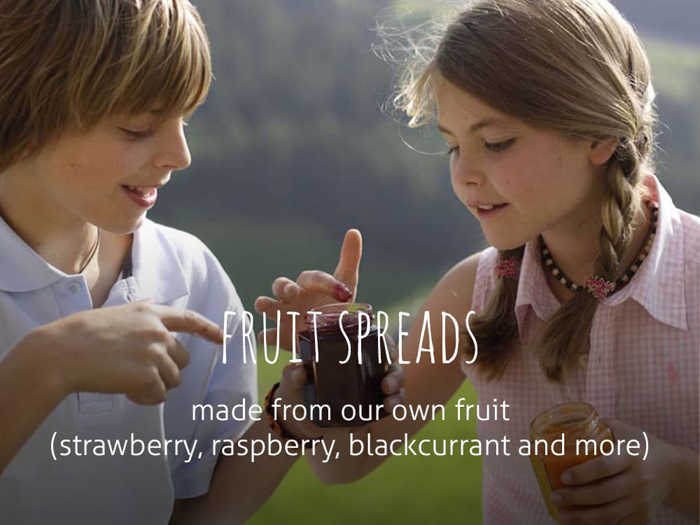 Fruit spreads made from our own fruit