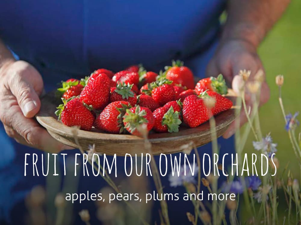 Fruit from our own orchards