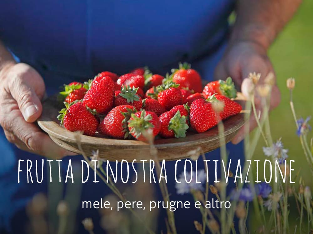 Frutta di nostra