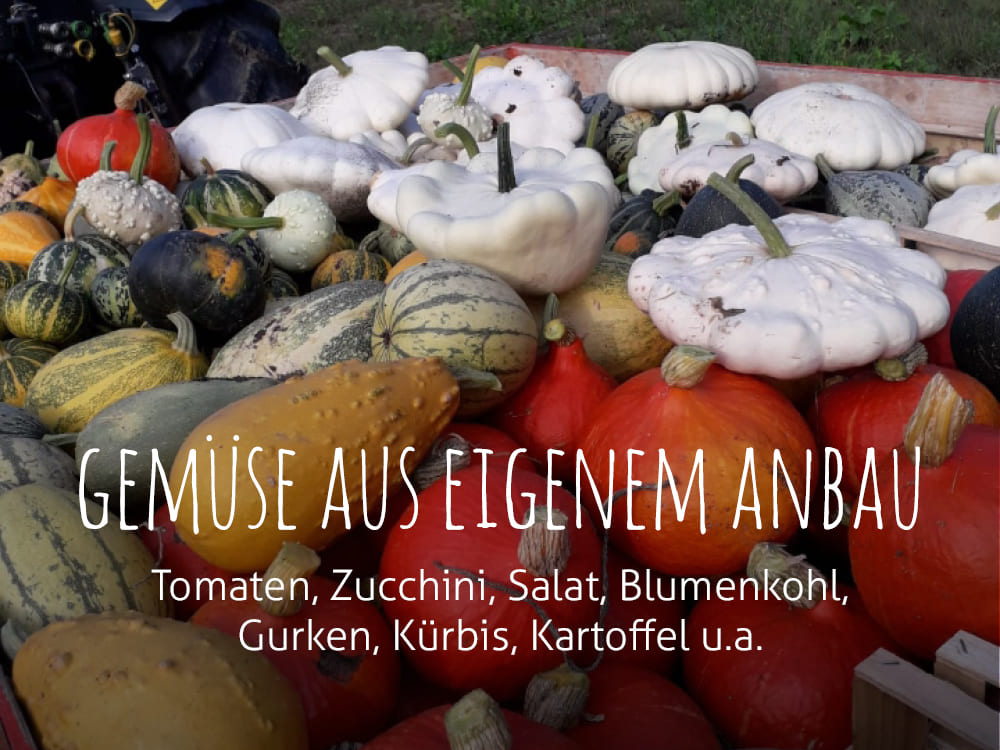 Binderhof Sarns - Gemüse aus eigenem Anbau
