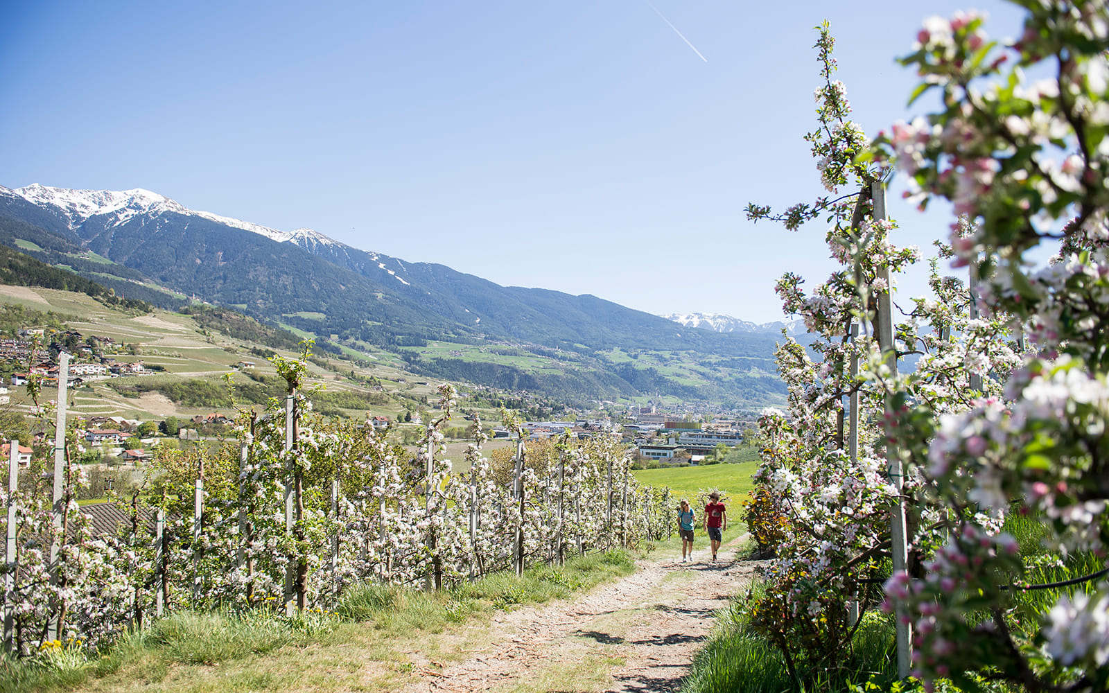 Binderhof in Sarns - Ihr Urlaub im Eisacktal