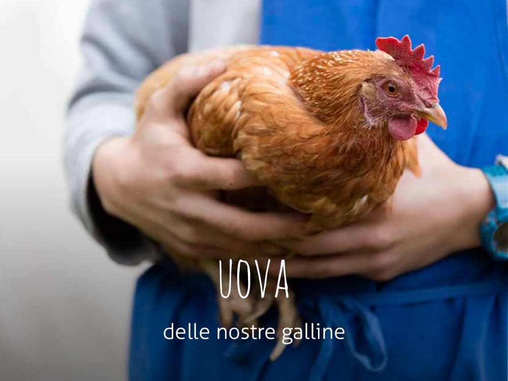 Uova