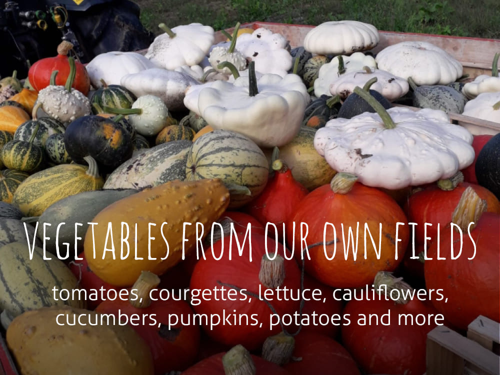 Vegetables from our own fields