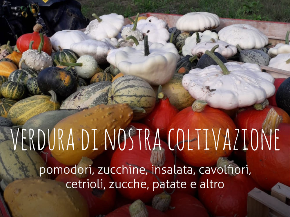 Verdura di nostra
